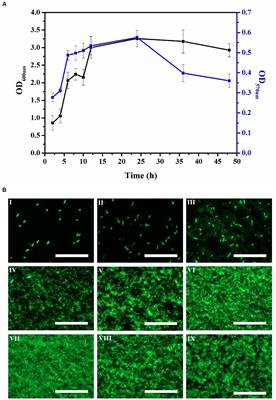 Removal of Foodborne Pathogen Biofilms by Acidic Electrolyzed Water